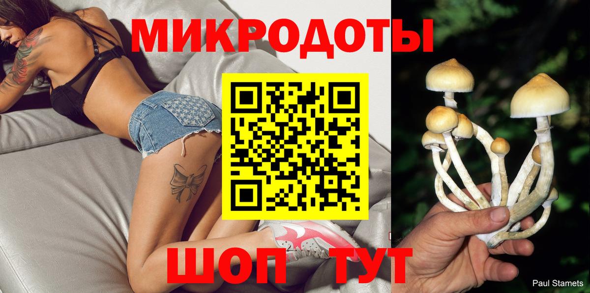 Галлюциногенные грибы прущие грибы  Псилоцибиновые грибы MAGIC MUSHROOMS  Тайшет  Вход с VPN 